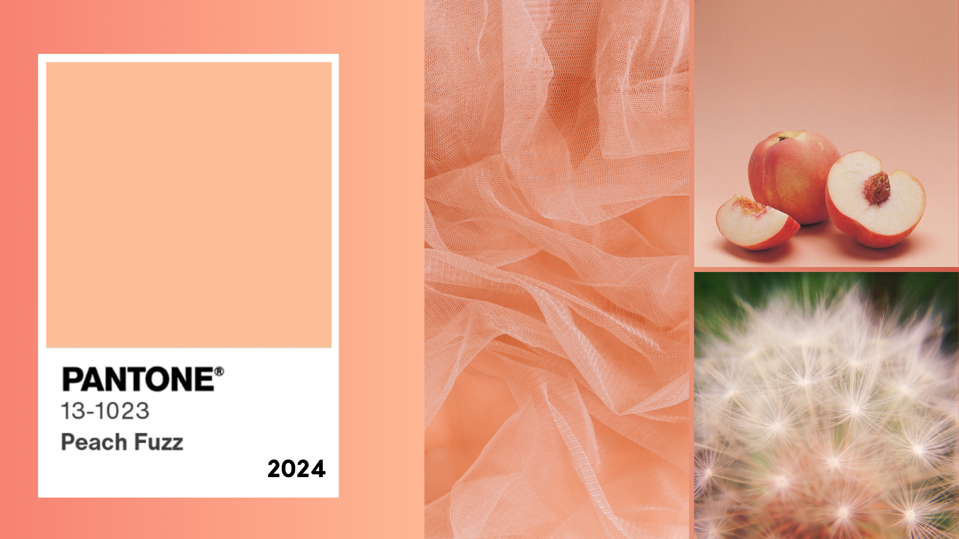 Pantone Color of The Year 2024: Peach Fuzz - Multimedia Marketing Group
